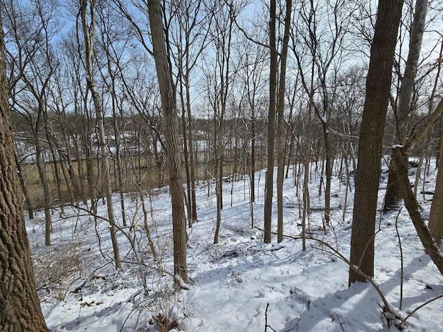 4650 Chatham Ct, Dublin, OH 43017 - photo 14