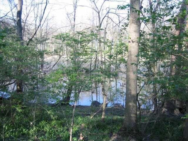 4650 Chatham Ct, Dublin, OH 43017 - photo 6