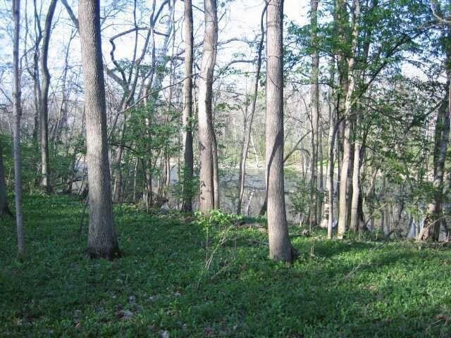 4650 Chatham Ct, Dublin, OH 43017 - photo 4