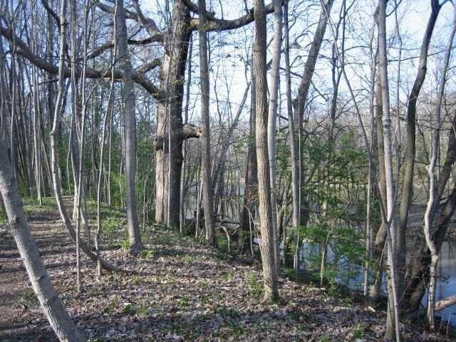 4650 Chatham Ct, Dublin, OH 43017 - photo 8