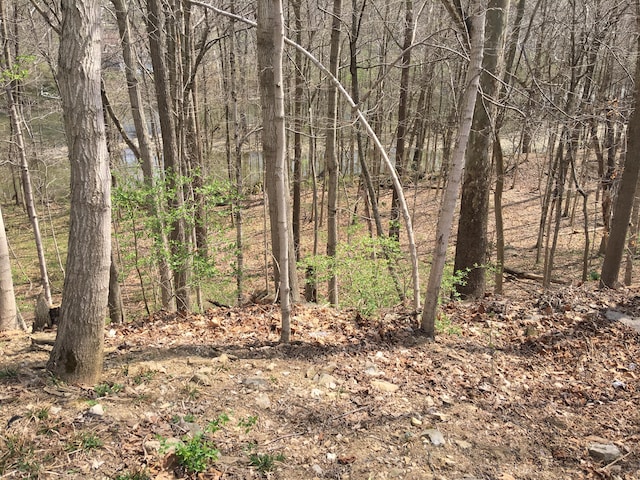 4650 Chatham Ct, Dublin, OH 43017 - photo 16