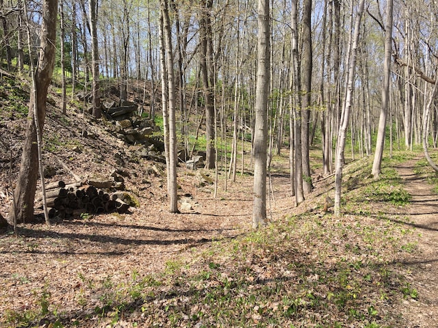 4650 Chatham Ct, Dublin, OH 43017 - photo 20