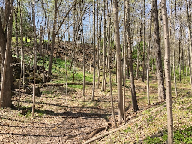 4650 Chatham Ct, Dublin, OH 43017 - photo 21