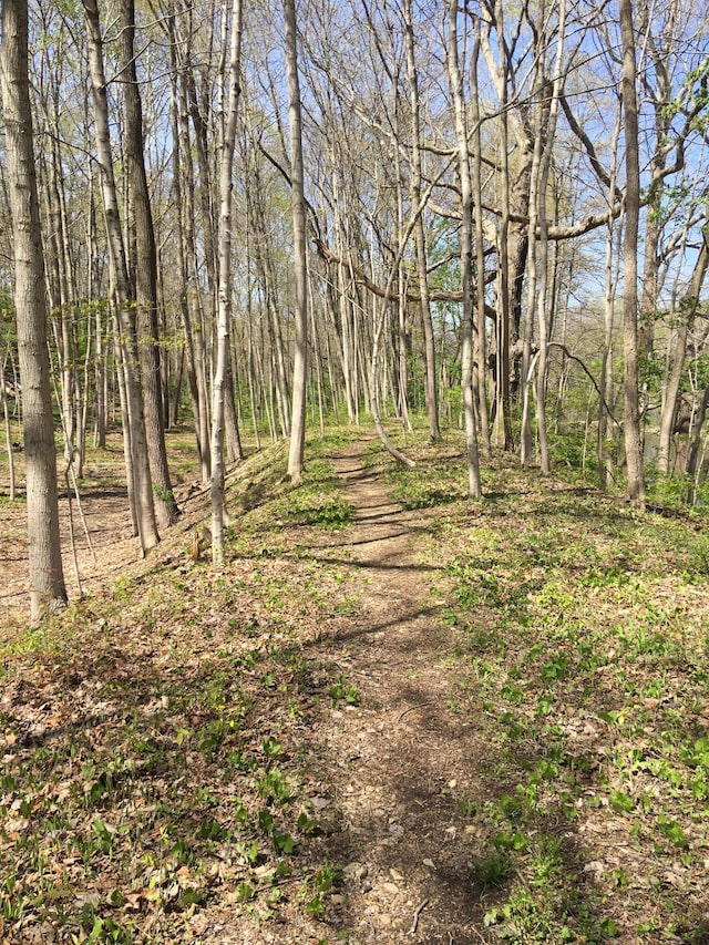 4650 Chatham Ct, Dublin, OH 43017 - photo 19