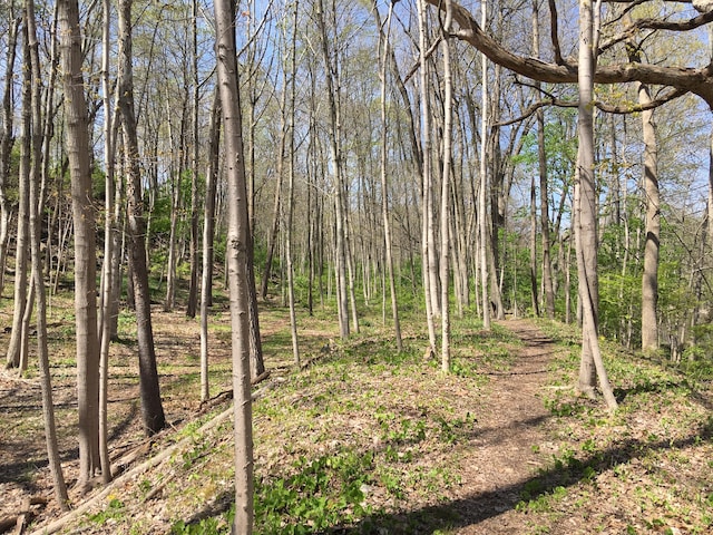 4650 Chatham Ct, Dublin, OH 43017 - photo 22