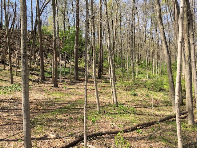 4650 Chatham Ct, Dublin, OH 43017 - photo 24