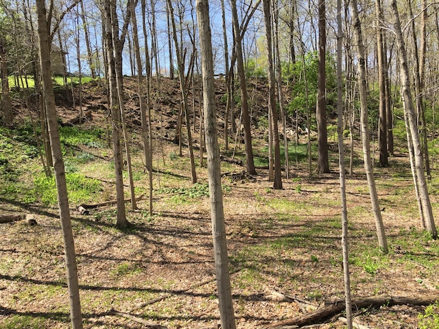 4650 Chatham Ct, Dublin, OH 43017 - photo 25