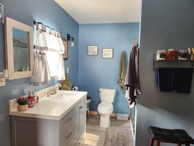 bathroom featuring toilet, vanity, and wood-type flooring