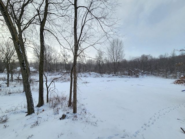 view of snowy yard