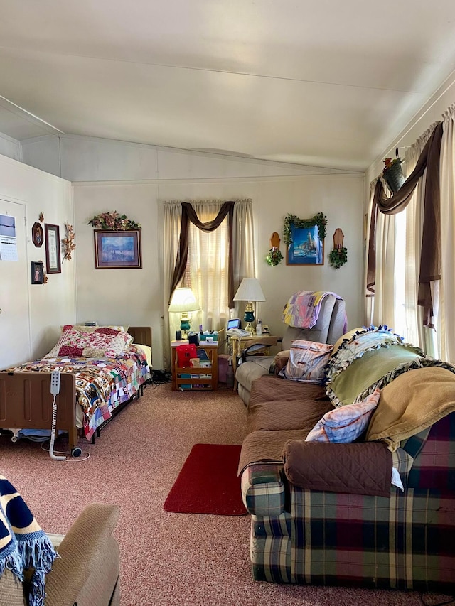 carpeted bedroom featuring multiple windows