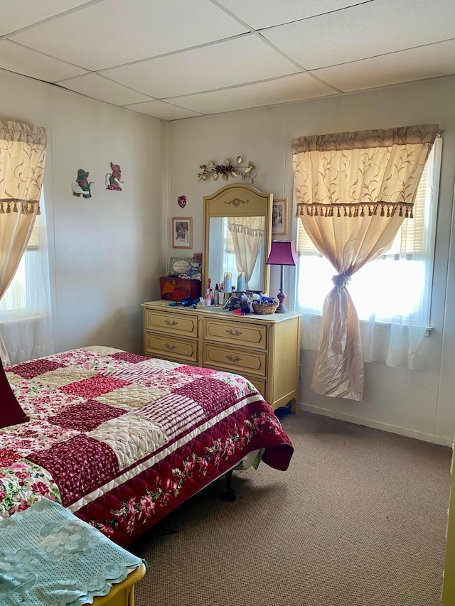 bedroom featuring multiple windows, carpet flooring, and a drop ceiling