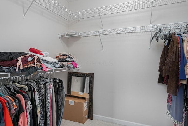 view of spacious closet