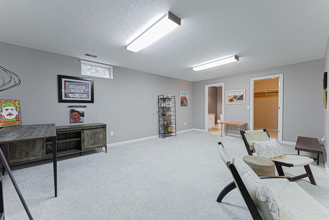 interior space with light carpet and a textured ceiling