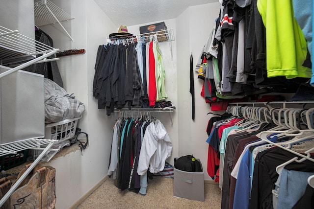 view of spacious closet