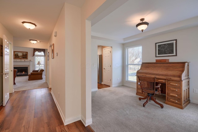 office area with plenty of natural light and carpet floors