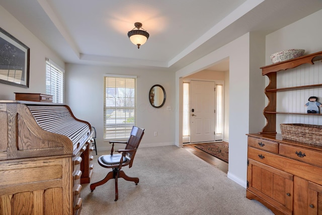 foyer featuring a tray ceiling, light colored carpet, and plenty of natural light