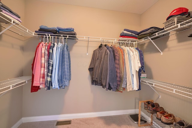 spacious closet featuring carpet