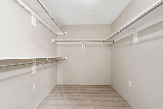 walk in closet with wood finished floors
