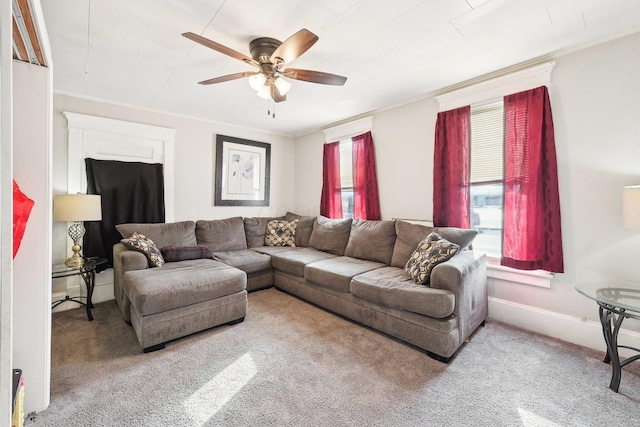 living area with ceiling fan, a wealth of natural light, carpet, and ornamental molding