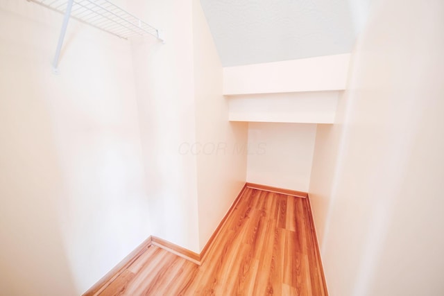 spacious closet featuring wood finished floors