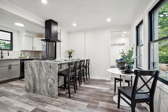 kitchen with white cabinetry, light hardwood / wood-style flooring, light stone countertops, a kitchen bar, and island range hood