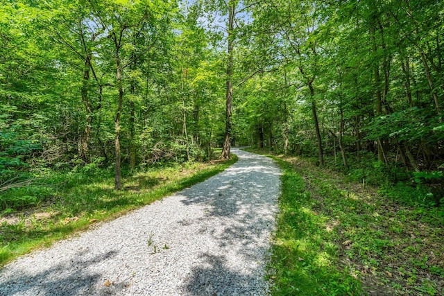 8136 Kennedy Rd, Blacklick, OH 43004 - photo 2