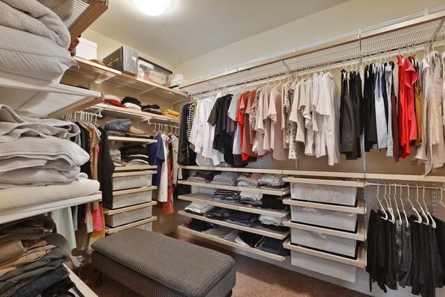 view of walk in closet