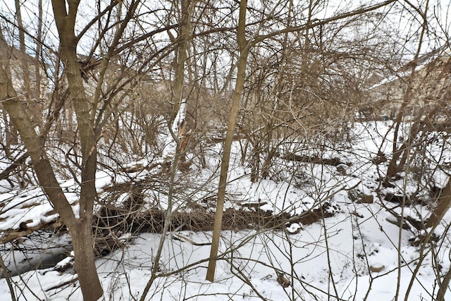 view of snow covered land