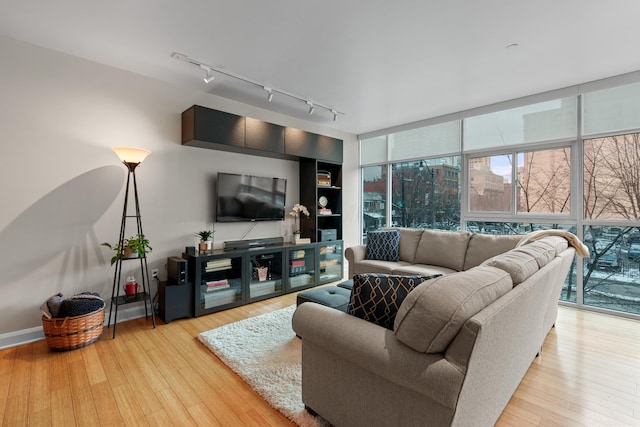 living room with light wood-type flooring and expansive windows