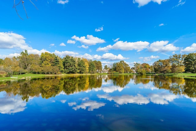 property view of water