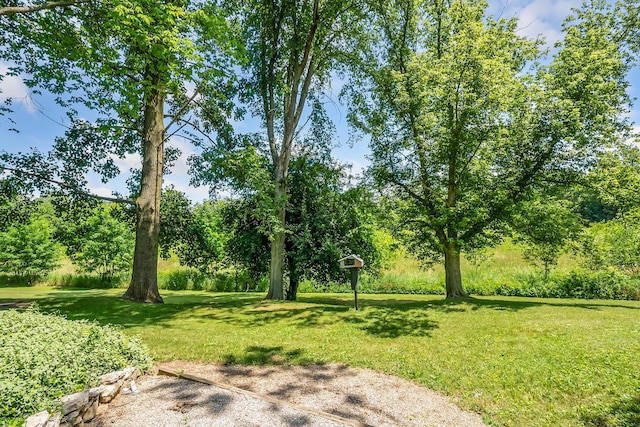 4518 State Route 257, Radnor, OH 43066 - photo 5