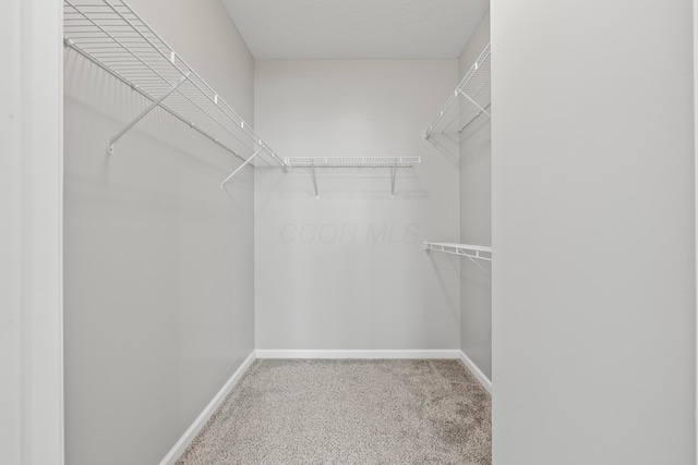 spacious closet with carpet