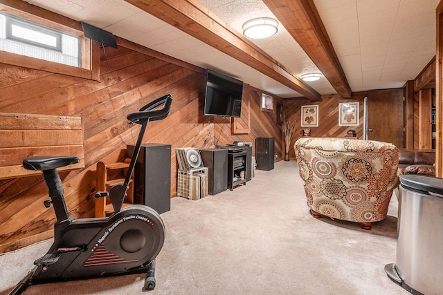 exercise room featuring a wood stove, light carpet, and wood walls