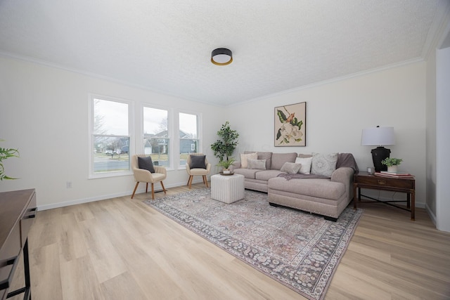 living room with light wood-type flooring, ornamental molding, and a textured ceiling