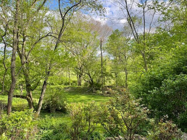 view of nature