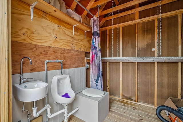 bathroom featuring wood finished floors and a sink