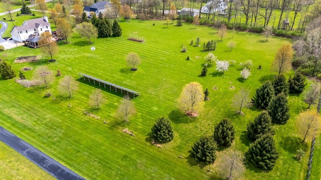 bird's eye view