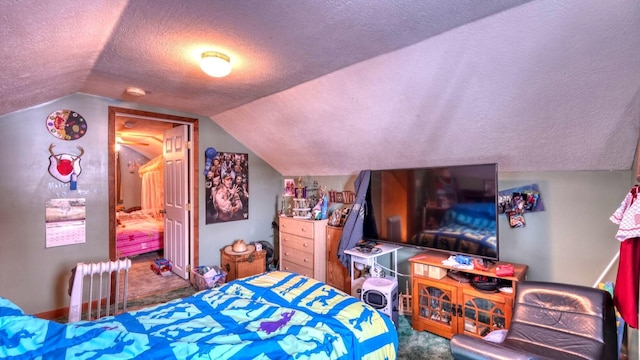 1295 Maple Brook Rd, New Concord, OH 43762 - carpeted bedroom featuring vaulted ceiling, radiator heating unit, and a textured ceiling
