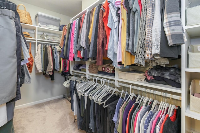 spacious closet featuring carpet