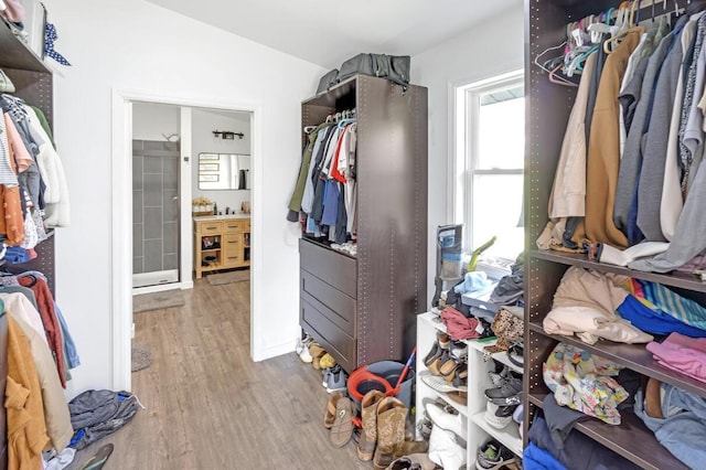 walk in closet featuring lofted ceiling and wood finished floors
