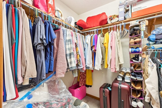 spacious closet featuring carpet floors