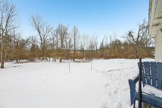 view of snowy yard