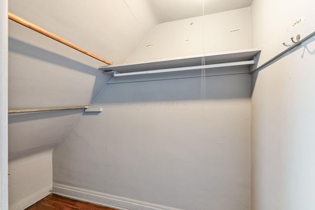 spacious closet featuring lofted ceiling and dark wood-style flooring