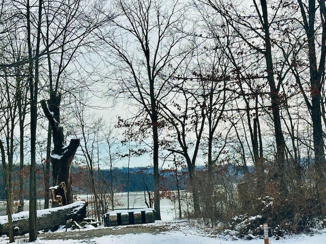 view of water feature