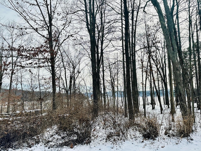 view of snow covered land with a water view