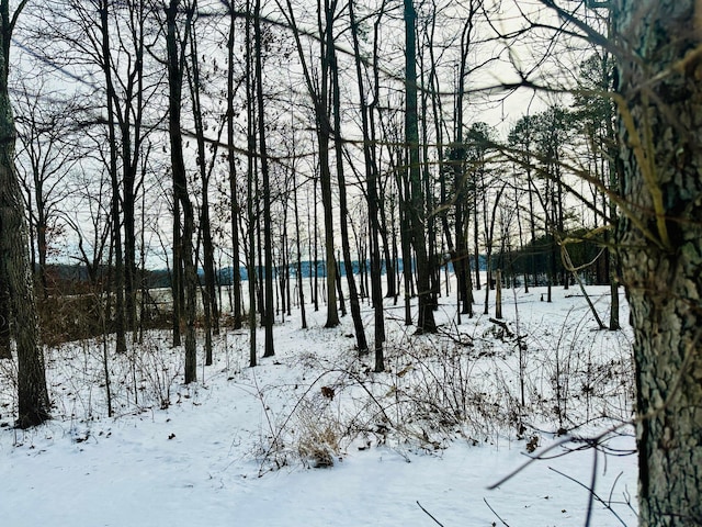 view of snowy landscape