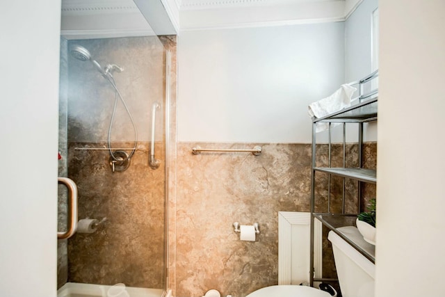 bathroom featuring a stall shower and toilet