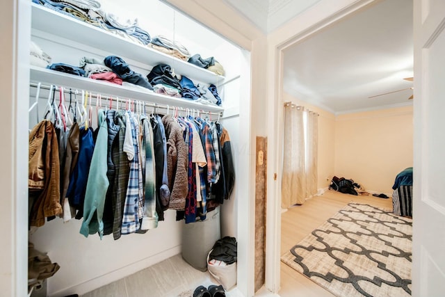 walk in closet featuring wood finished floors