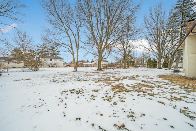 view of yard covered in snow