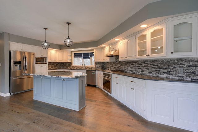 kitchen with decorative light fixtures, under cabinet range hood, dark wood-style flooring, appliances with stainless steel finishes, and glass insert cabinets